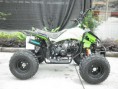 /album/atv-125cc-quad-kawasaki-estilo-go-kart-buggy/atv-125-jpg/